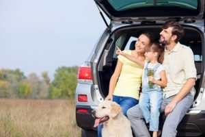 planning to travel with your dog in the car, groom your pup before hitting the road | Family Life Tips