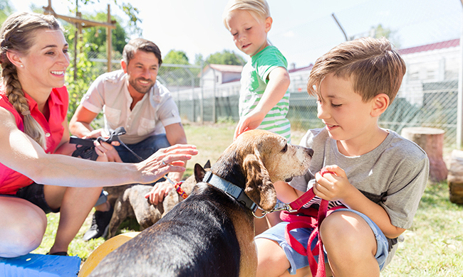 Parents and Children Playing with Adopted Shelter Dog | Family Life Tips Magazine