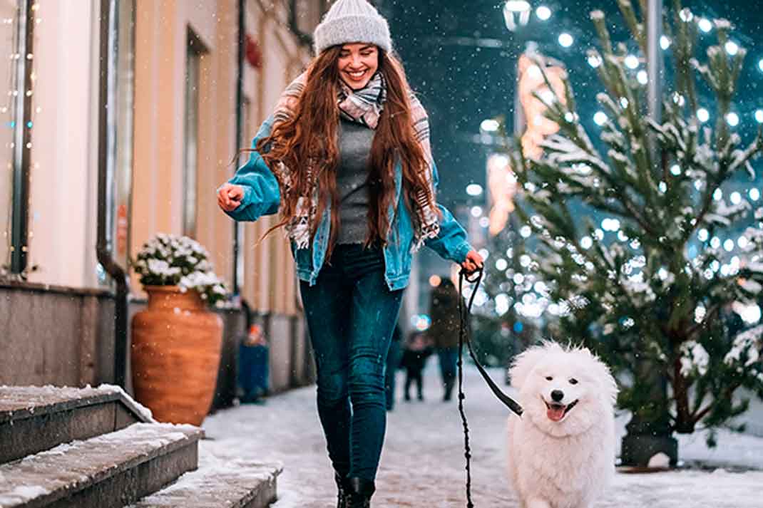 Savor Time Outdoors with Your Pet During the Holiday Season | Family Life Tips Magazine