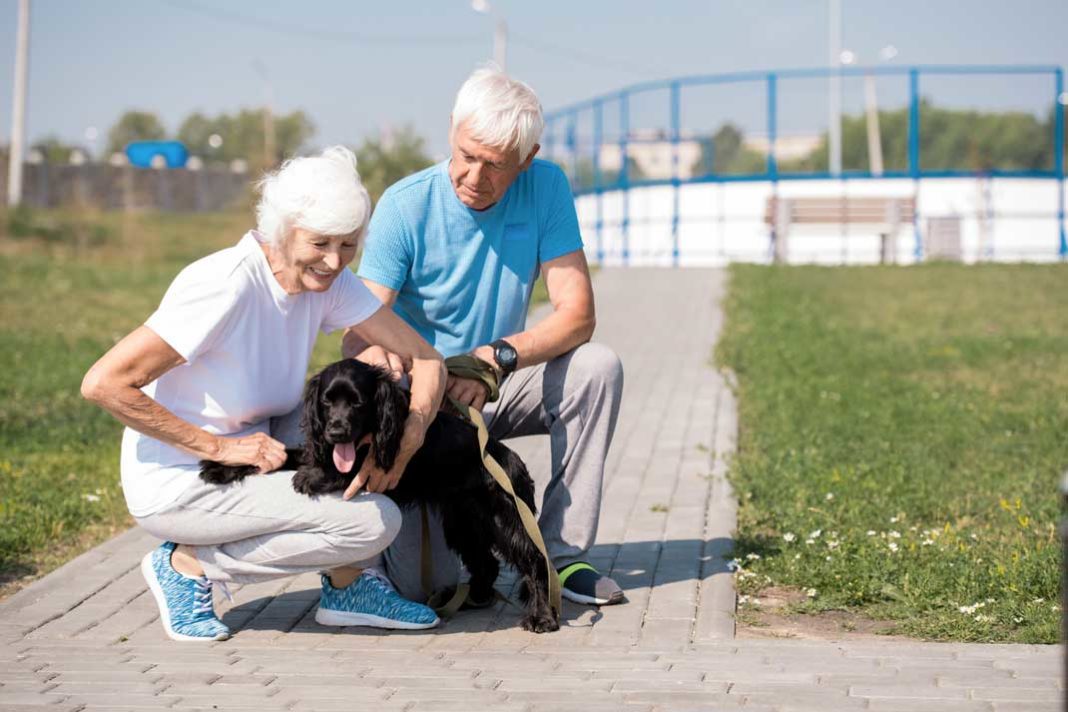 The Pet Boost: Furry Friends Help Seniors Feel Less Lonely - Family Life Tips