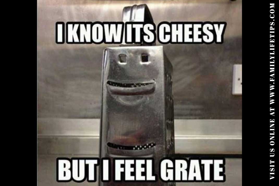 Cheese Meme: I know it sounds cheesy. But, I feel grate! - Family Life Tips Magazine