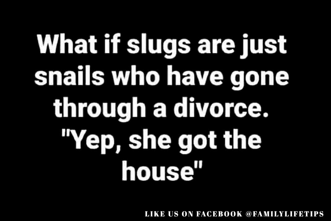 Divorce Meme: What if slugs are just snails who have gone through a divorce. “Yep, she got the house.” – Family Life Tips Magazine
