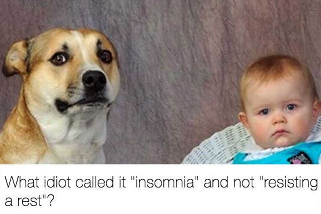 Funny Parenting Meme: What idiot called it "insomnia" and not "resisting a rest"? - Family Life Tips Magazine