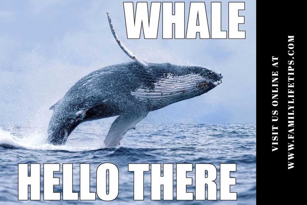 Whale Meme: Whale, Hello There! - Family Life Tips Magazine