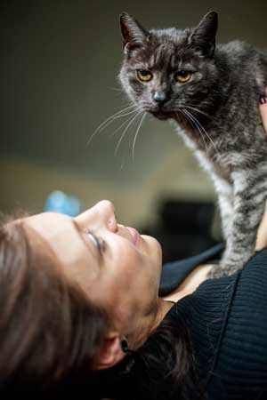 Grey Tabby Cat and Pet Parent Owner at Home Enjoying Bonding Moment - Family Life Tips Magazine