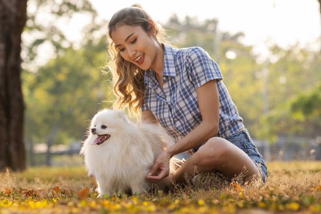 How Pets Help Mental Health - The Benefits of Animal Companionship - Family Life Tips Magazine