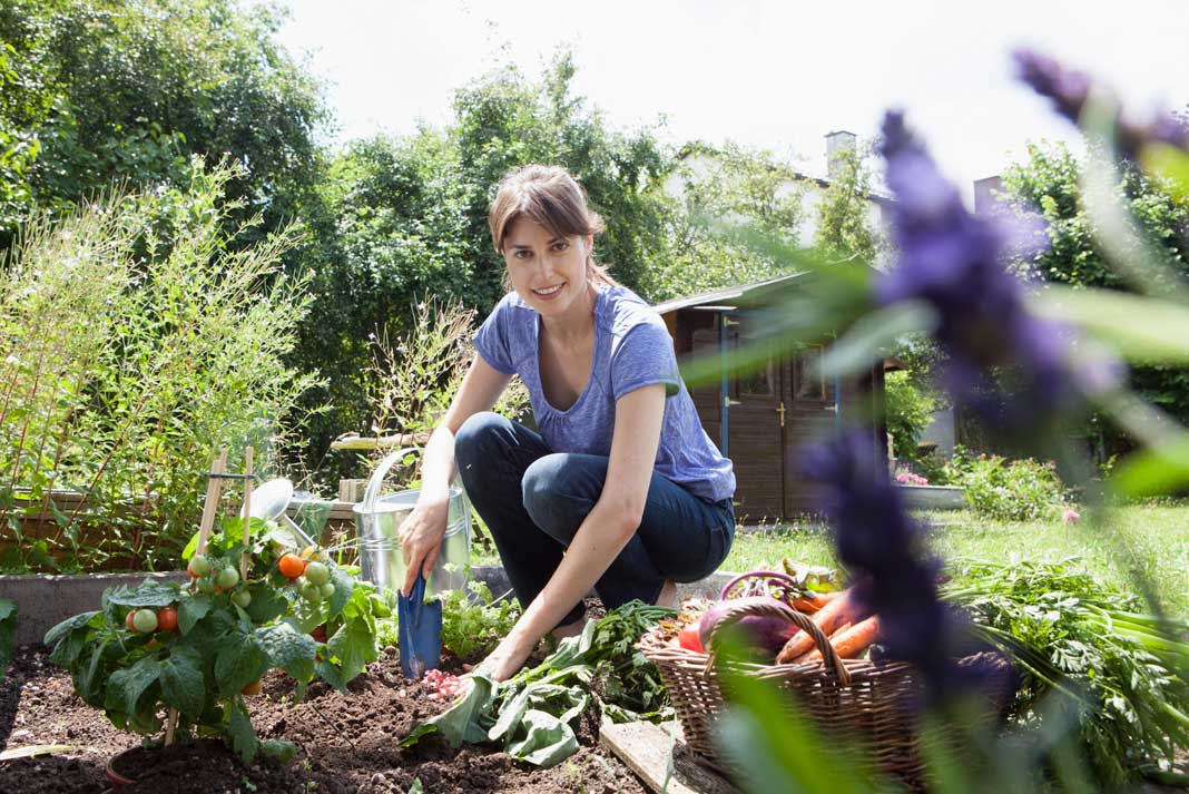 Gardening Helps Depression: The Surprising Benefits of Gardening