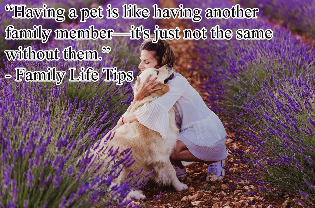 Pets are Family Quotes - “Having a pet is like having another family member—it's just not the same without them.” 