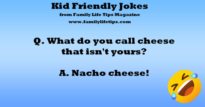 Kid Friendly Jokes What do you call cheese that isn't yours
